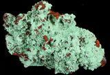 Malachite and Limonite Coated Quartz Cluster - Morocco #43813-2